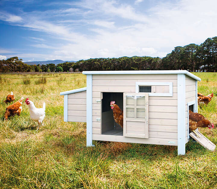 themenwelt huehnerstall mobil nest 720x628